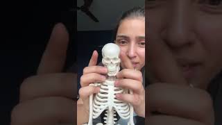 NEET 2024 All Bones in 1 minute Half Locmotion Chapter Revision in 1 minute😌 [upl. by Dugas753]