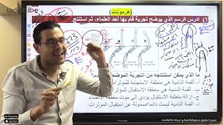 حل الاختبار التفاعلي 27 مذكرة [upl. by Okomot]