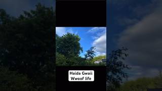 【カナダ】Wwoof life on Hida Gwaii Family garden カナダ wwoof ファーム ワーホリ キャンプ travel farm [upl. by Zippora854]