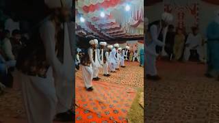 Damani jhumar 03361069774 03317392271balochijhumar saraikijhumar viralvideo youtubeshorts [upl. by Jaine]