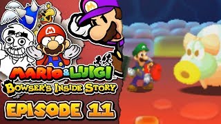 Mario amp Luigi Bowsers Inside Story 3DS 11 quotThe Downfallquot [upl. by Kcirreg663]