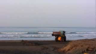 How They Clean A Japanese Beach 日本鎌倉 [upl. by Trenton]