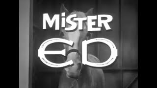 Mister Ed 1961  1966 [upl. by Eceryt179]