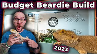 The Perfect Bearded Dragon Enclosure Setup for ANY Budget [upl. by Aushoj]