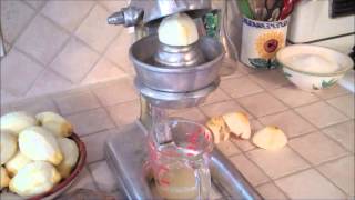 HOMEMADE LIMONCELLO SHTF ANTI SCURVY MEDICINE [upl. by Jeff]