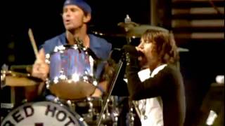 Red Hot Chili Peppers  Parallel Universe  Live at Slane Castle [upl. by Mirabel]