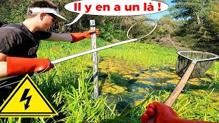 Pêche Improbable avec de l’ÉLECTRICITÉ dans cette Rivière SAUVAGE [upl. by Ydissak]