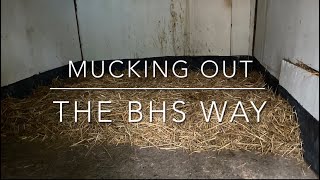 How to muck out a straw stable for beginners  BHS grooms career pathway guide [upl. by Kho602]