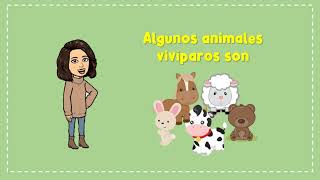 ¿Cómo nacen los animales  parte 2  animales vivíparos  PREESCOLAR [upl. by Barnaby]