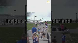 Niagara Falls Natures Powerhouse naturalwonder [upl. by Sitruk]