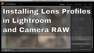 Installing Adobe Lens Profiles for Lightroom and Camera RAW [upl. by Lole]