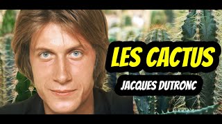 quotLes Cactusquot Jacques Dutronc  SousTitres FrançaisAnglais  FrenchEnglish Subtitles [upl. by Enilada]