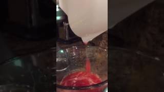 Kitchen Aid FruitVegetable Strainer Demo [upl. by Novelc]