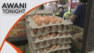 AWANI Tonight Chicken eggs are now cheaper nationwide [upl. by Chelsea]