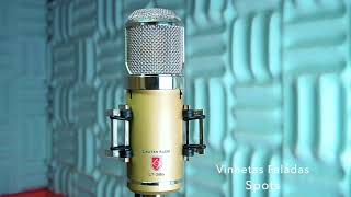 Vinhetas Cantadas amp Faladas  Audio Studio 2020 [upl. by Krahling]