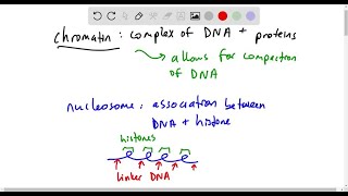 What is chromatin remodeling [upl. by Adiaros]