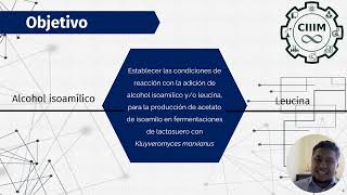 IQCIIIM202445 Evaluación del efecto de dos precursores en la síntesis de Acetato de Isoamilo [upl. by Aleemaj]