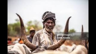 The Ancient Origins of the Fulani People 2024 10 18 [upl. by Strepphon]