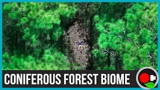 The Coniferous Forest Biome Explained [upl. by Ayinat773]