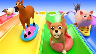 Animals for Kids and Toddlers SLIDDING INTO THE WATER Funny Animals Videos for Kids and Songs [upl. by Einoj]