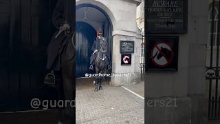 The horse was making noise fyp kingsguard royalguards horseguard shorts amazing animals [upl. by Chuu]