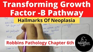 Transforming Growth FactorB PathwayHallmarks of CancerCarcinogenesisNeoplasiapathology robbins [upl. by Yecram]