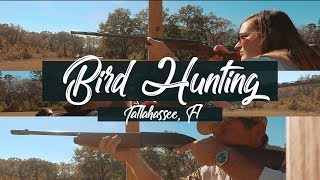 Bird hunting in Tallahassee FL  Skeet shooting Clay shooting [upl. by Nisen]