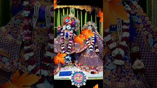 he Muralidhar chhaliya Mohan bhajan shortvideo vrindavan bakebihari video krishna reels [upl. by Anerdna]