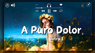 A Puro Dolor  Son By Four  LetraLyrics [upl. by Aehsa]