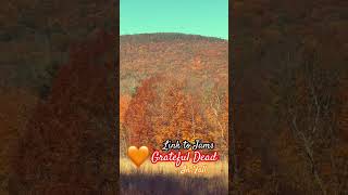 Love Grateful Dead amp Fall nature music [upl. by Meid]