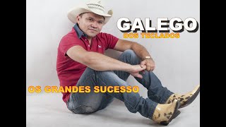 GALEGO DOS TECLADOS OS GRANDES SUCESSO VOL 01 [upl. by Nirel]