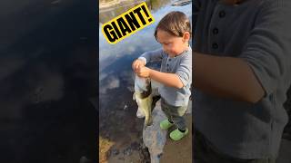 Big Bass Release🎣 bassfishing fishingkids fishing shorts [upl. by Arlene]