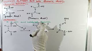 Conversion of maleic acid into fumaric acid  Lab experiment  MSc chemistry [upl. by Sidonnie184]