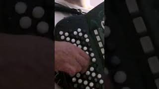 Foršpil jedne lepe narodne pesmemusic shorts accordion [upl. by Azalea]