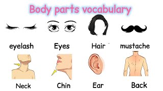 Parts of the body in English  Improve your vocabulary  Learn English [upl. by Siloa]