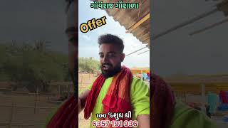 vlog dwarka ahir food dwarkamore garba ilovesurat vairalvideo suratsmartcity [upl. by Case]