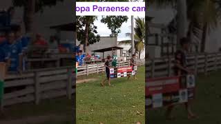 ABERTURA DA COPA PARAENSE [upl. by Jenne]