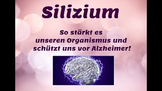 So stärkt Silizium unseren Organismus und schützt uns vor Alzheimer AluminiumAusleitung [upl. by Isis]