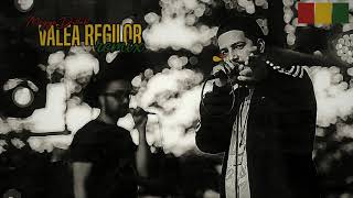 Megga Dillah  Valea Regilor remix [upl. by Helsie674]