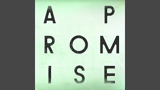 A Promise Instrumental [upl. by Llerral106]