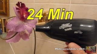 relaxing hair dryer sound  Sounds Hair Dryer Shop  hair dryer sound effect 24 minutes [upl. by Yuji]