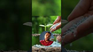 Desertification agruculture bscagriculture cotton yavatmal [upl. by Lesab]