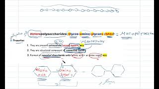 heteropolysaccharides الحصة السادسة شرح العلامة [upl. by Gypsy938]