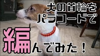 犬の首輪をパラコードで編んで作ってみた♪ [upl. by Thaine]