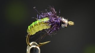 Tying a Caddis Pupa multitoned with Curtis Fry [upl. by Eneluj]