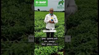 Ad Prioxer Basf Fungicide use in soyabean crop वि प्राऑक्सर बीएएसएफ़ फफूंदीनाशक का सोयाबीन रिजल्ट [upl. by Ecnerwaled848]