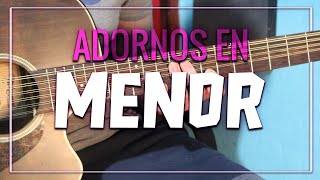 ADORNOS en MENORES  Tutorial  Tabs [upl. by Vinaya]