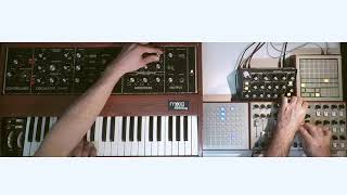 skinnerbox  Tomita  Prokofiev  Symphony No 5 in B Flat Major minimoog minitaur [upl. by Dierolf44]