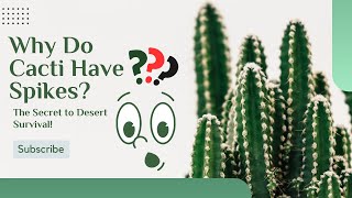 Why Do Cacti Have Spikes  The Secret to Desert Survival  Learning Science [upl. by Fabe]