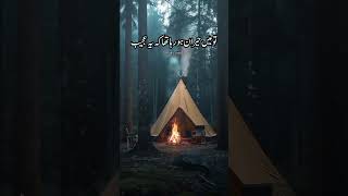 حضرت فاطمہ سلام اللہ علیہا فرماتی ہیں میں حضور کی زلفیں دھوتی جاتی💯✌islamicstatus youtubeshorts v [upl. by Eemiaj]